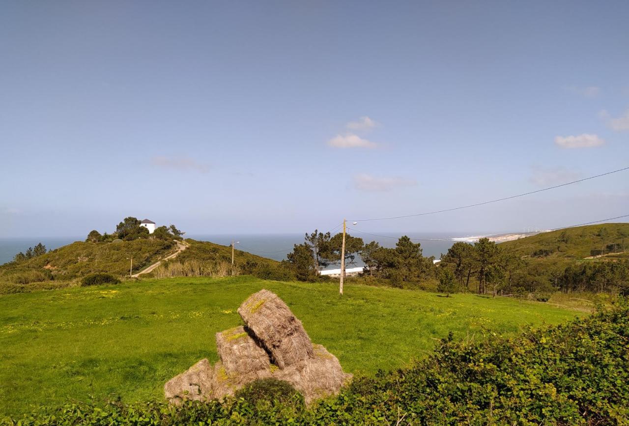 Sunflower Sea View With Magnificent Terrace In Serra Da Pescaria, Nazare - Portugal Exterior foto