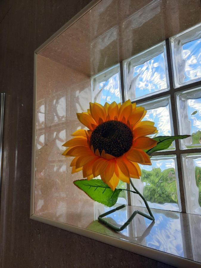 Sunflower Sea View With Magnificent Terrace In Serra Da Pescaria, Nazare - Portugal Exterior foto
